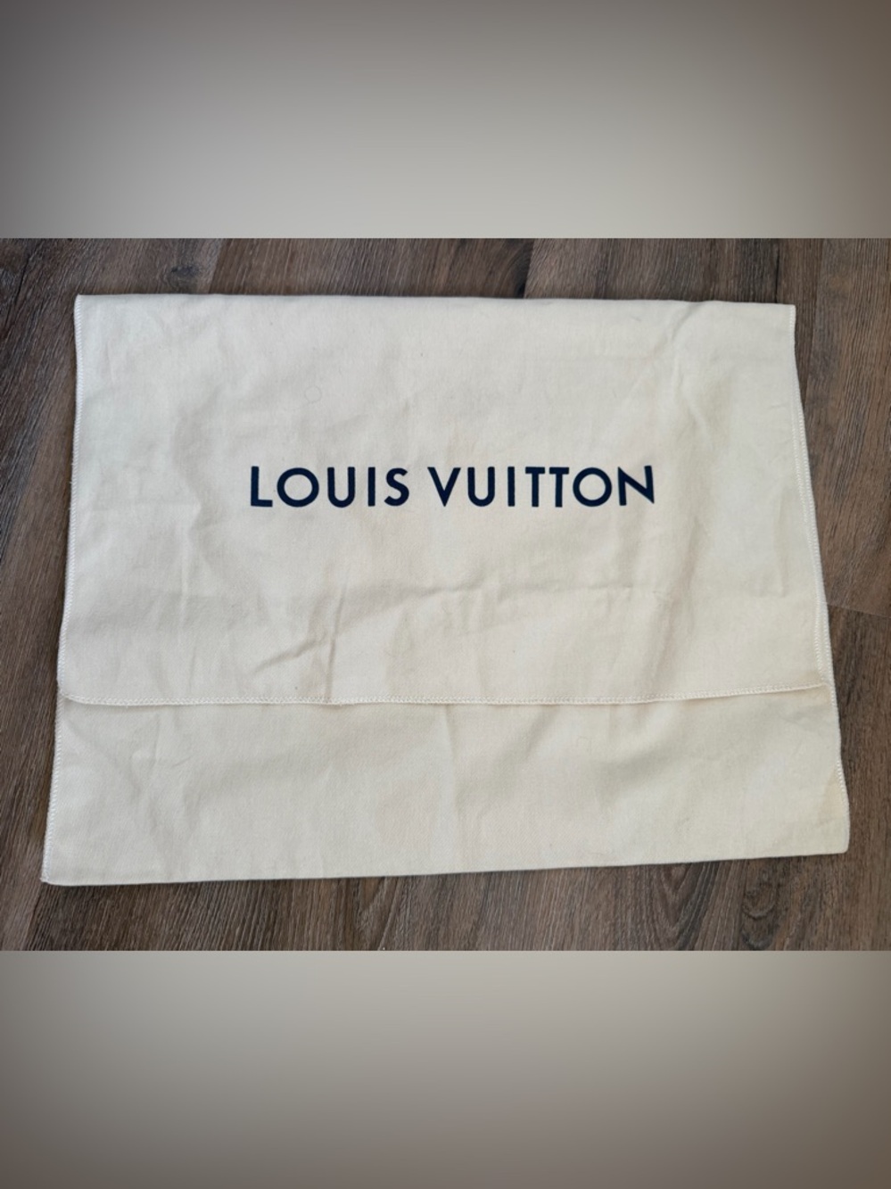 Louie Vuitton Envelope Dust Bag